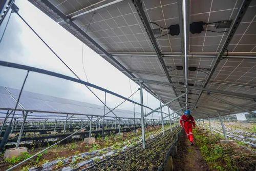 中國(guó)十三省最大光伏電站在這里！欽州康熙嶺的光伏電站能排上號(hào)了嗎？